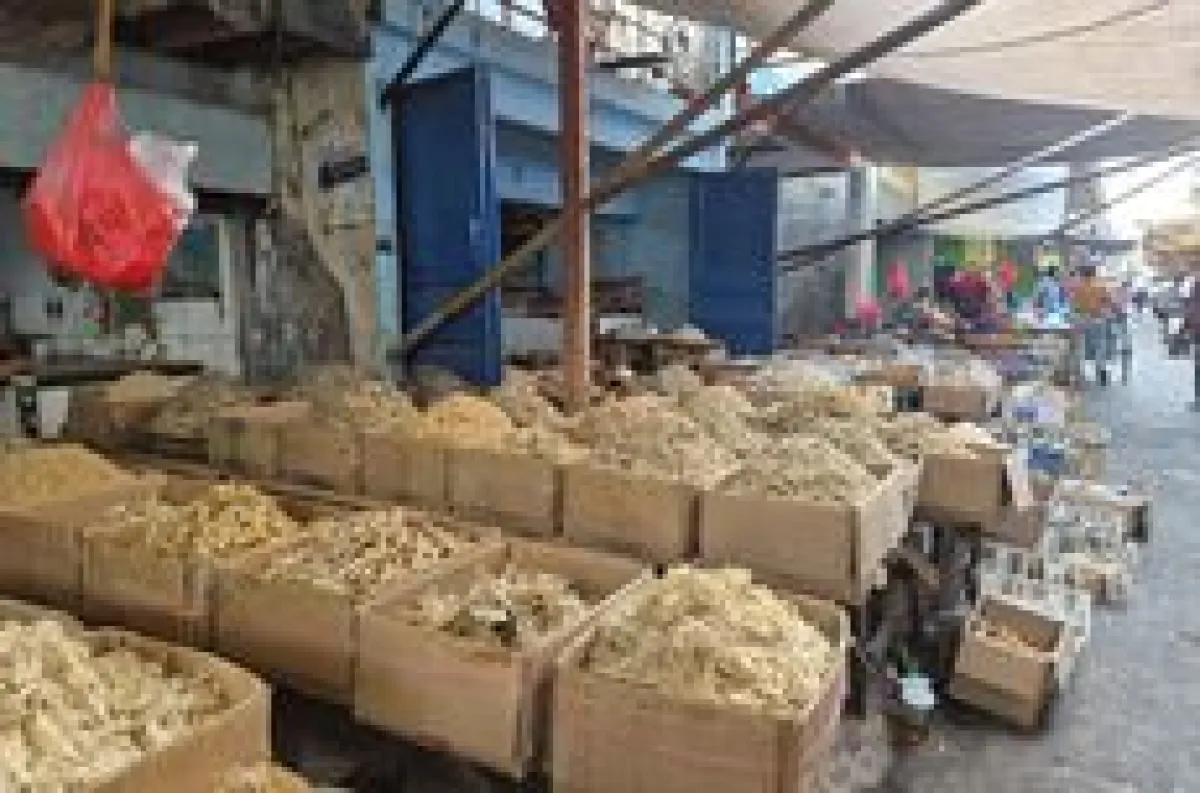 thumb