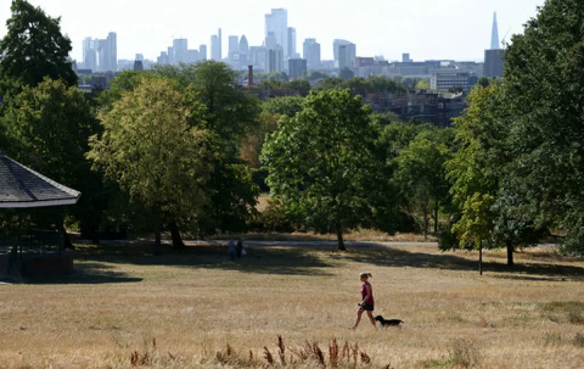 thumb